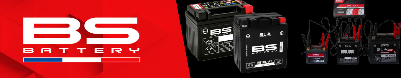 BS BATTERY Chargeur