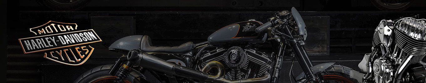 HARLEY DAVIDSON Courroie