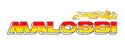 Recambios Malossi