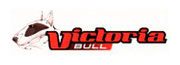 VICTORIA-BULL