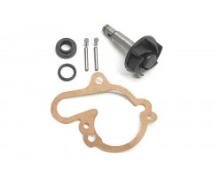 Kit de bomba de agua P2R AM6