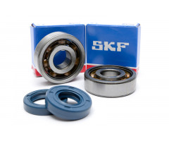 Rodamientos y reténes de cigueñal SKF TN9 / C3 AM6