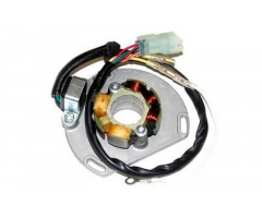 Stator de encendido Electrosport KTM 125 SX 2006-2007 / 2009