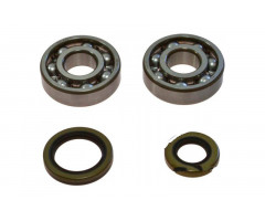 Rodamientos y reténes de cigueñal All Balls Gas Gas EC 125 2003-2011 / MC 125 2003-2009