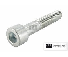 Tornillo Motoforce M10x55