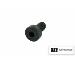 Tornillo Motoforce M5x10mm