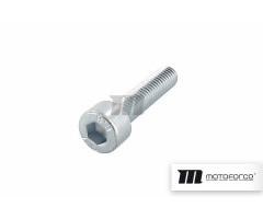 Tornillo Motoforce M5x22