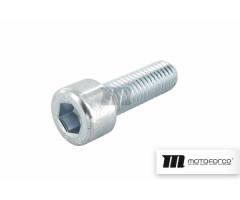 Tornillo Motoforce M6x25mm
