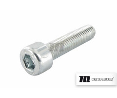 Tornillo Motoforce M8x35mm